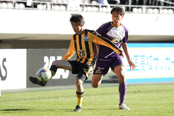 高度联系的 高度联系的